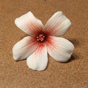 1522018740-name-that-plant-1 | Walter Reeves: The Georgia Gardener