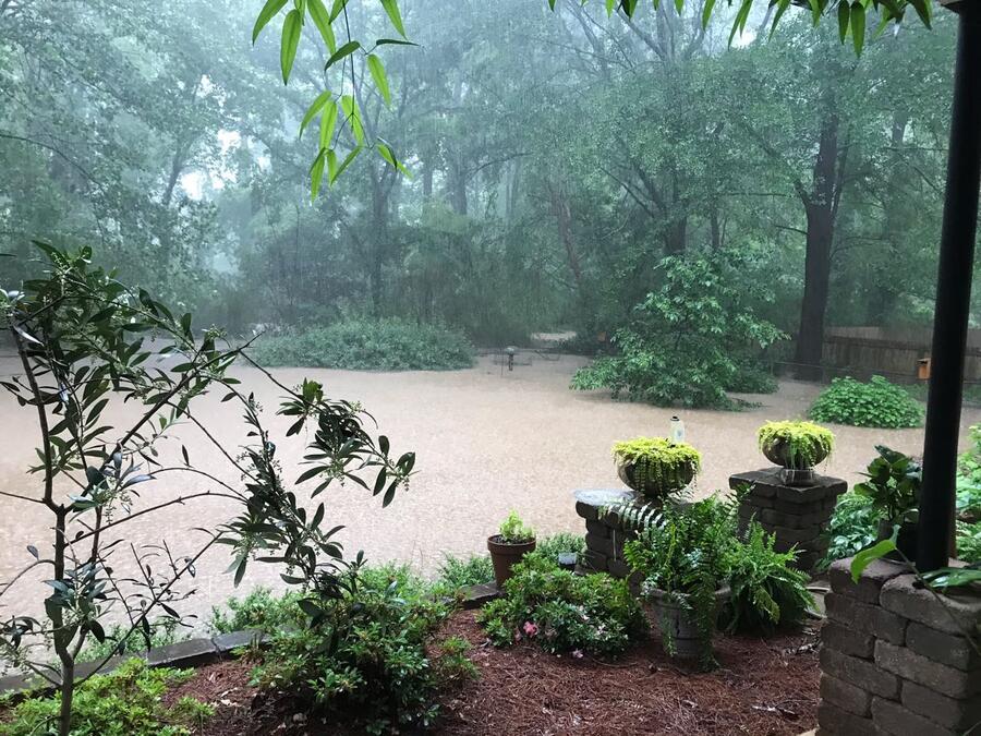 flooded lawn | Walter Reeves: The Georgia Gardener